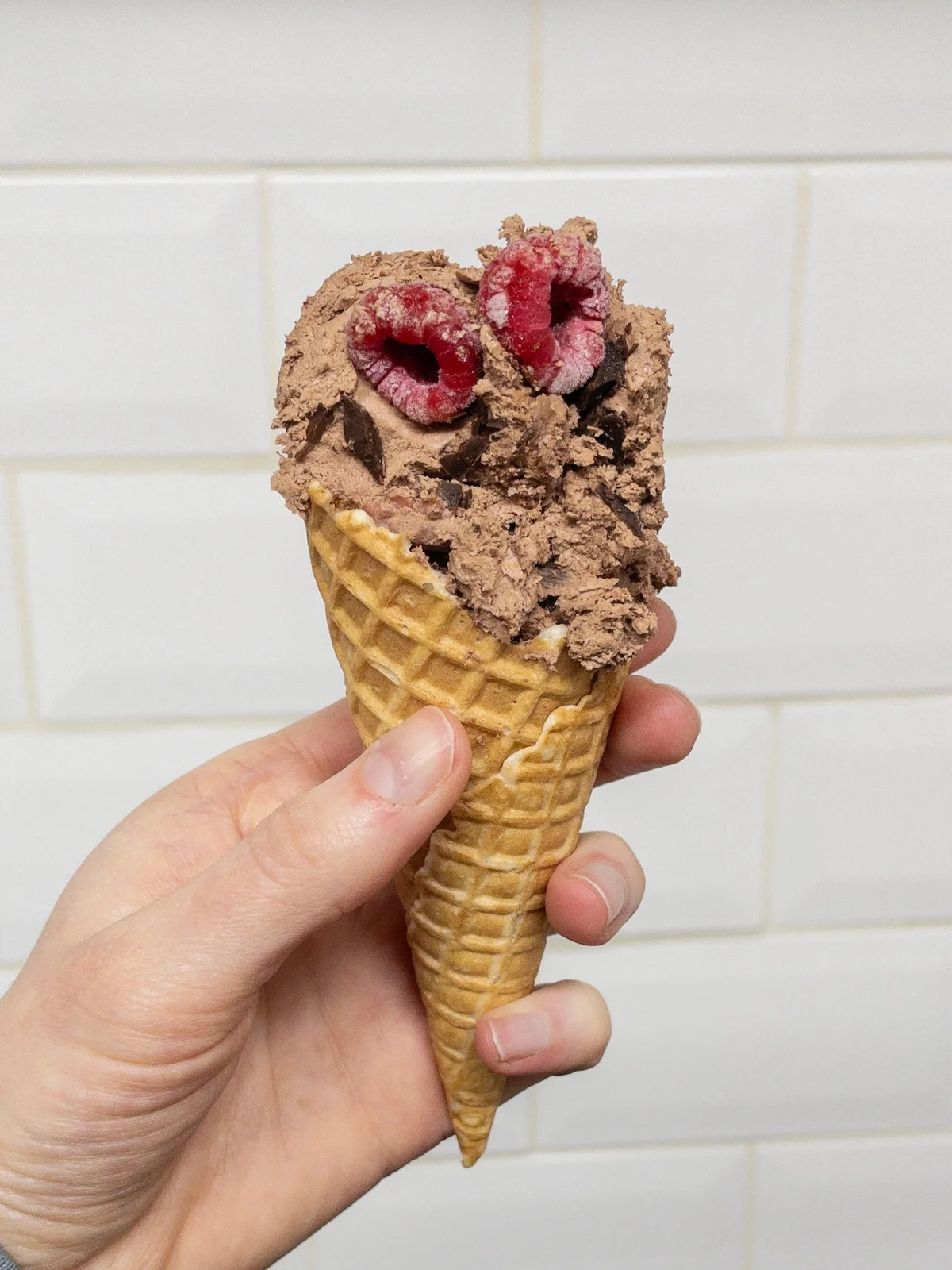 Chocolate & Raspberry Dairy Free Gelato in a cone